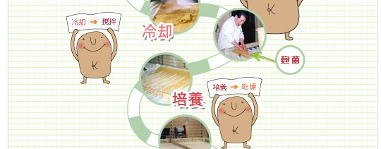 玄米酵素製造工程