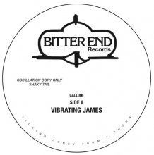[7] Bitter End - Vibrating James/The House [12inch]