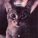 Cat Maphiaar / welcome to CATROIT (MIX-CDR)