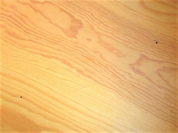 レア・モデル！スウェーデンの伝統工芸品：Spankorg/スポーンコリの