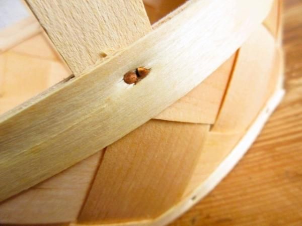 未使用品！スウェーデンの伝統工芸品：Spankorg/スポーンコリの