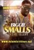 Biggie Smalls Is The Illest - Presented by DJ Delz & Showtime DVD<img class='new_mark_img2' src='https://img.shop-pro.jp/img/new/icons3.gif' style='border:none;display:inline;margin:0px;padding:0px;width:auto;' />