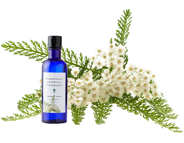 Achillea Millefolium ヤロー Aromafrance アロマフランス フランス産のオーガニック ナチュラルなクレイ ハーブウォーター 精油 キャリアオイル ハーブティのオンラインストア