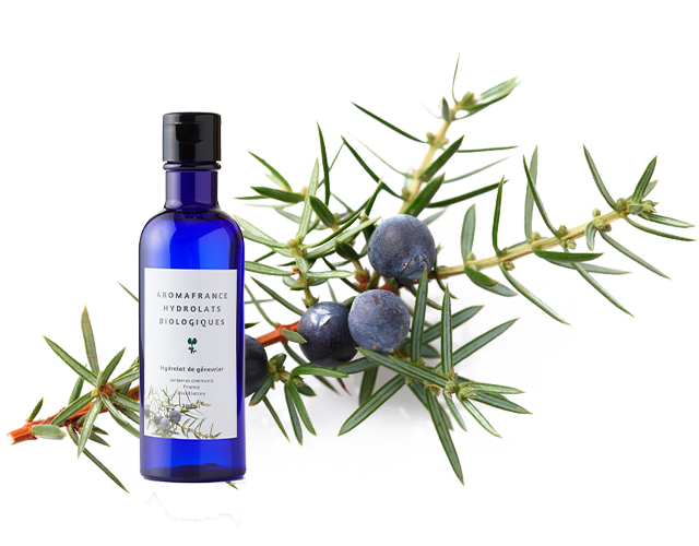 _ Juniperus communis ジュニパー - 【新しいサイトに移転しました ...