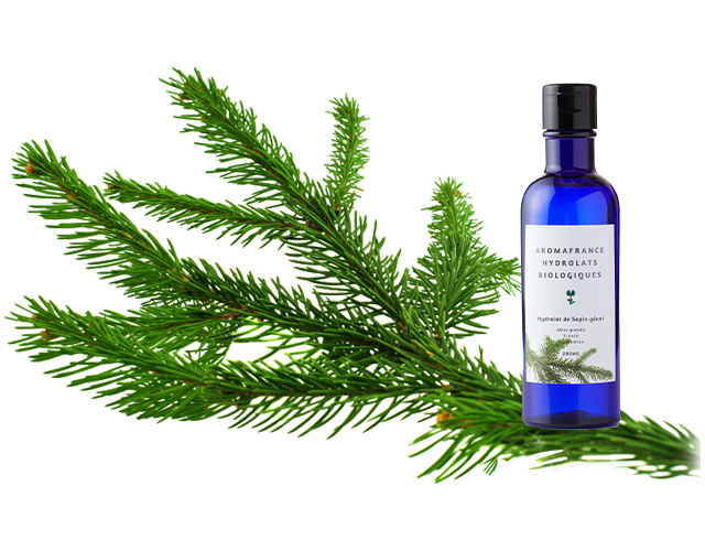 Abies Grandis グランド フアー Aromafrance アロマフランス フランス産のオーガニック ナチュラルなクレイ ハーブウォーター 精油 キャリアオイル ハーブティのオンラインストア