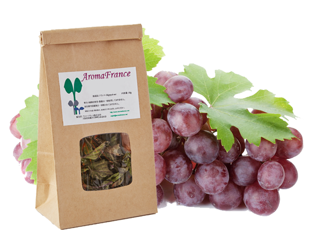 Vitis Vinifera 赤ブドウ ハーブティー Aromafrance アロマフランス フランス産のオーガニック ナチュラルなクレイ ハーブウォーター 精油 キャリアオイル ハーブティのオンラインストア