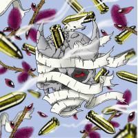 jejune junk CD エモ　メロディック jejune junk CD エモ emo Junk by Jejune (Album, Midwest Emo