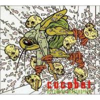 COCOBAT / return of grasshopper (国内盤digipak CD) - Music Revolution  礎-ISHIZUE ハードコア メタルコア スクリーモ エモ パンク 通販 ショップ
