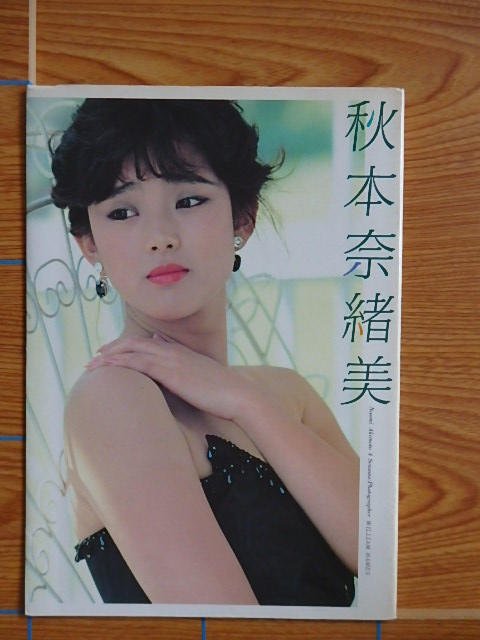 秋本奈緒美 4SEASONS 写真集／E25 - 写真集屋