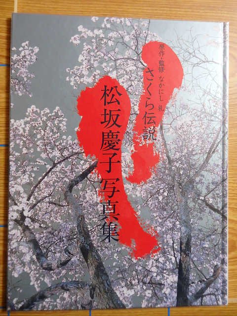 さくら伝説 松坂慶子 写真集／T1L - 写真集屋