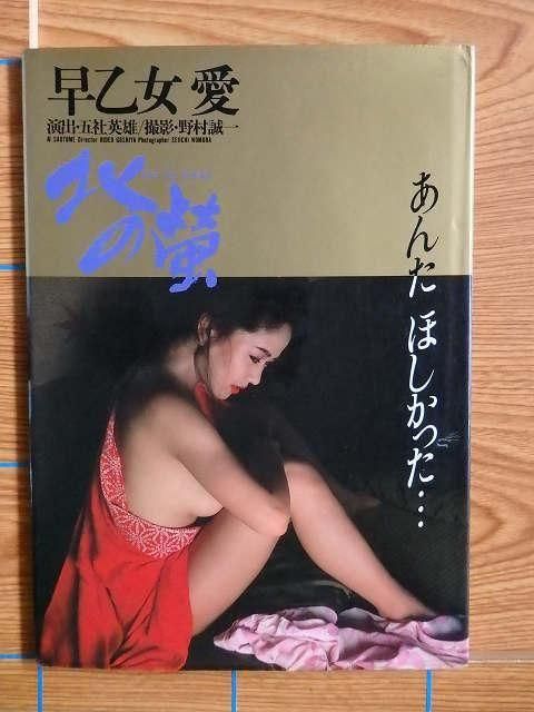 Ჵ ̤η֡ʥץ쥤 ̿D26