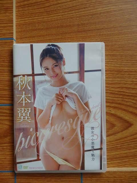 DVD  picaresqueξ̥ϡV39