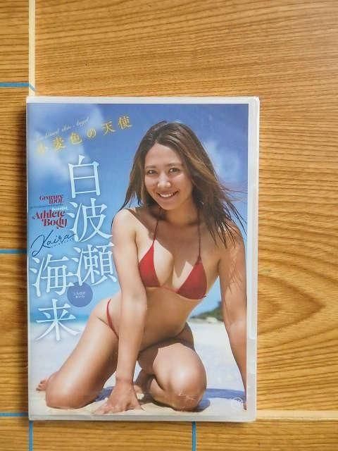 DVD  ŷȡV6M