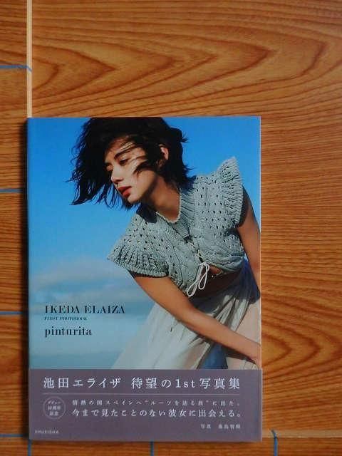 ĥ饤 եȼ̿ pinturitaB10