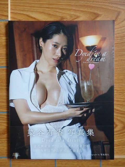 ëͭ ̿ Dyed in a dreamA31