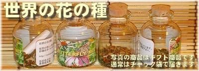 世界の花の種 スマートバージョン 世界の花の種 スマートバージョン