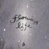 DVD『Flowing life』