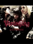 Vanishing/WILD HORSE/ CD