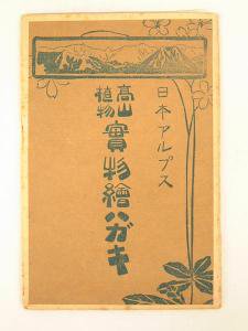 戦前 絵葉書 日本アルプス 高山植物 実物絵ハガキ 5枚セット まとめて タトウ 押し花