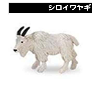 北米動物 チューブ - スノードーム美術館 ONLINE SHOP