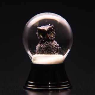 【高価値】 SSサイズ - スノードーム美術館 ONLINE SHOP その他
