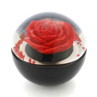 【美品】サマナーズウォー　スノードーム 協会オリジナルスノードーム - スノードーム美術館 ONLINE SHOP