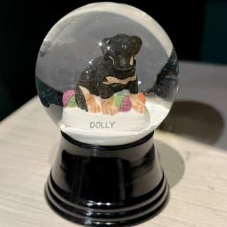 限定品 - スノードーム美術館 ONLINE SHOP
