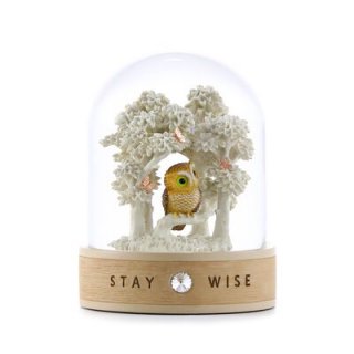 Stay wise-ե