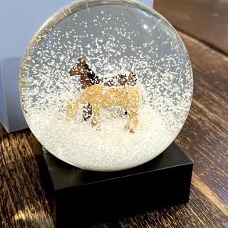 Horses