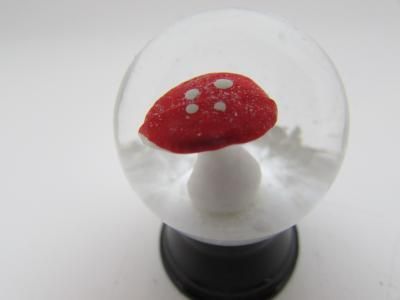 きのこ - スノードーム美術館 ONLINE SHOP