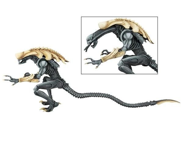 NECA エイリアン VS プレデター クリサリス・エイリアン フィギュア