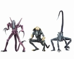 NECA エイリアン VS プレデター フィギュア ３体セット