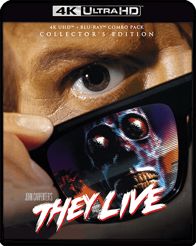 ネカ ゼイリブ 限定 DVDセット