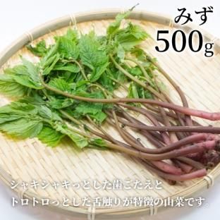 ߤ500