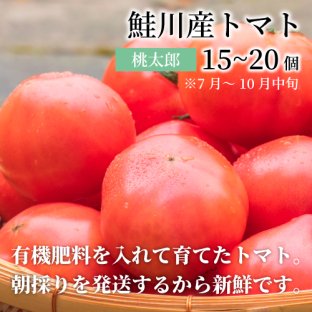 鮭川産トマト（桃太郎）