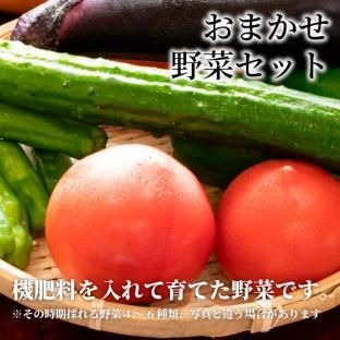 <img class='new_mark_img1' src='https://img.shop-pro.jp/img/new/icons26.gif' style='border:none;display:inline;margin:0px;padding:0px;width:auto;' />ޤڥå