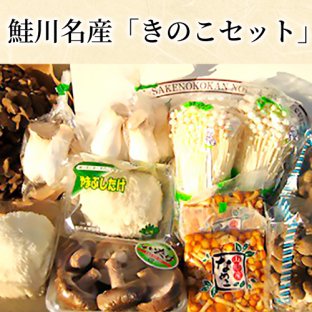 鮭川名産「きのこセット」 - 山形の山菜、特産品を産直でお届けします！鮭川屋