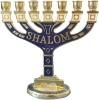 <img class='new_mark_img1' src='https://img.shop-pro.jp/img/new/icons29.gif' style='border:none;display:inline;margin:0px;padding:0px;width:auto;' />Υ顼桡(SHALOM)