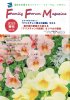 ファミリー・フォーラム・マガジン 2023 春号 No.105(Family Forum Magazine)