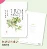 A4 ٹꥢե롡ҥ᥸祪KM25CF9