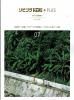 ӥ󥰥饤+PLUSʥץ饹2025ǯ7