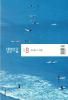 ӥ󥰥饤ա2025ǯ8ʴڹ