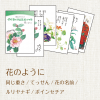星野富弘詩画集 絵はがき5枚セレクトシリーズ:花のように 1224