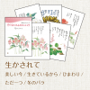 星野富弘詩画集 絵はがき5枚セレクトシリーズ:生かされて 1206