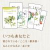 星野富弘詩画集 絵はがき5枚セレクトシリーズ:いつもあなたと 1219