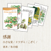 星野富弘詩画集絵はがき 5枚セレクトシリーズ:感謝
