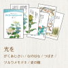 星野富弘詩画集 絵はがき5枚セレクトシリーズ:光を
