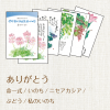 星野富弘詩画集絵はがき 5枚セレクトシリーズ:ありがとう