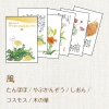 星野富弘詩画集絵はがき 5枚セレクトシリーズ:風