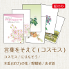 星野富弘詩画集絵はがき 5枚セレクトシリーズ:言葉をそえて(コスモス)